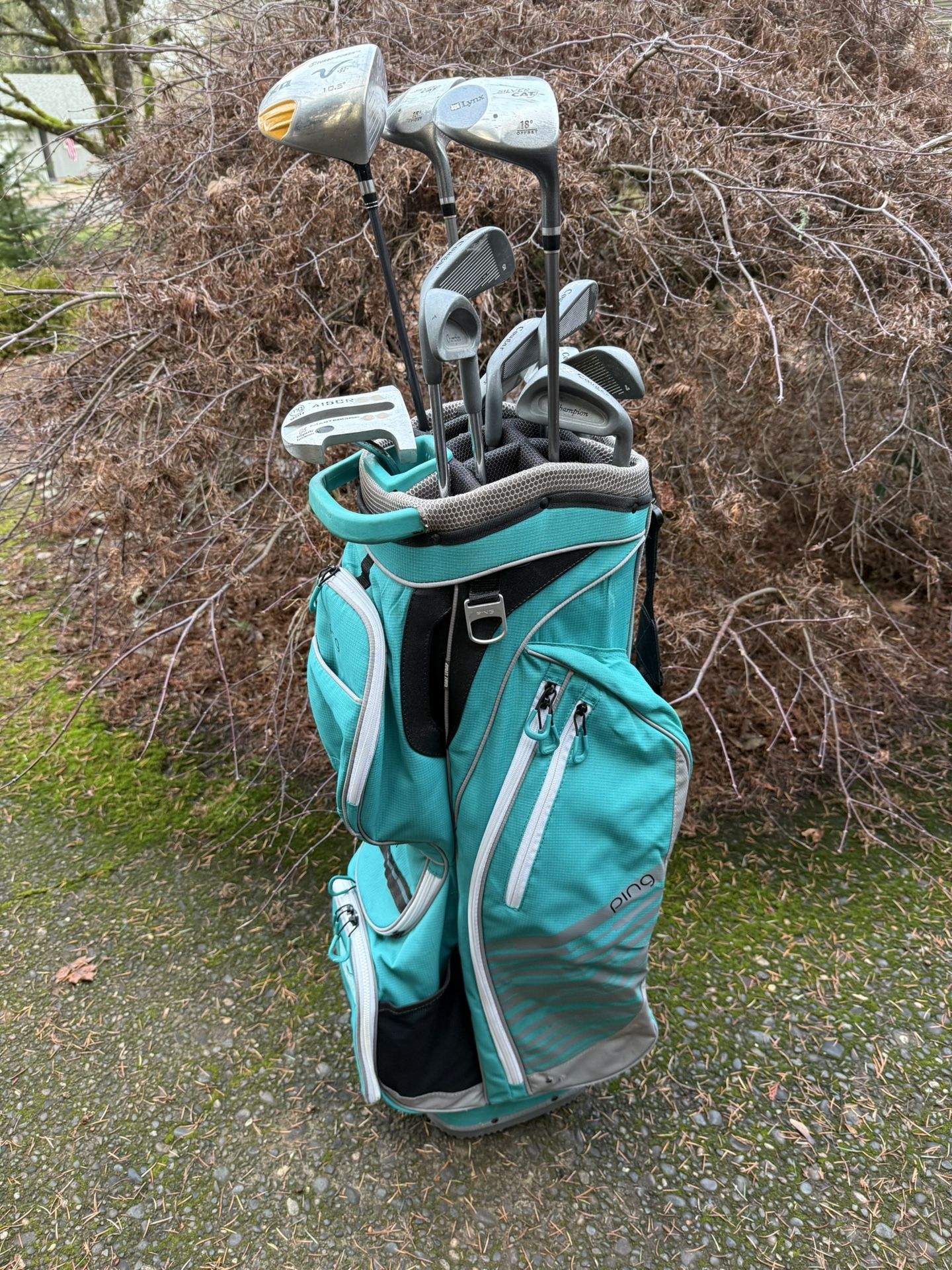 Golf Clubs (Ping bag)