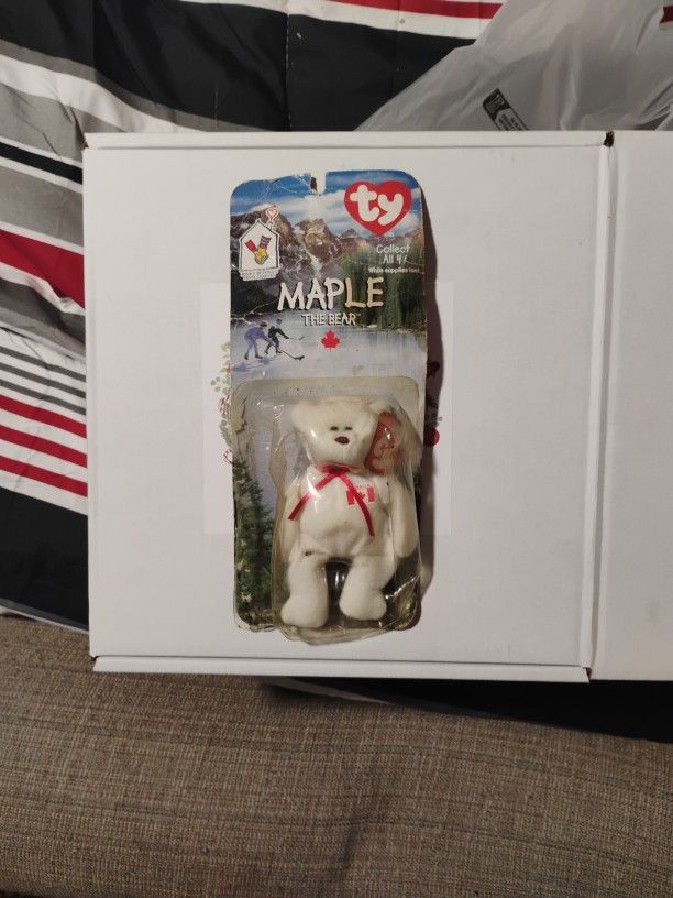 Maple The Bear