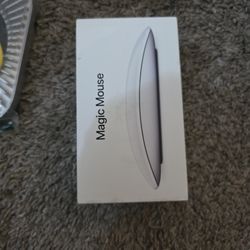 Apple Magic Mouse 