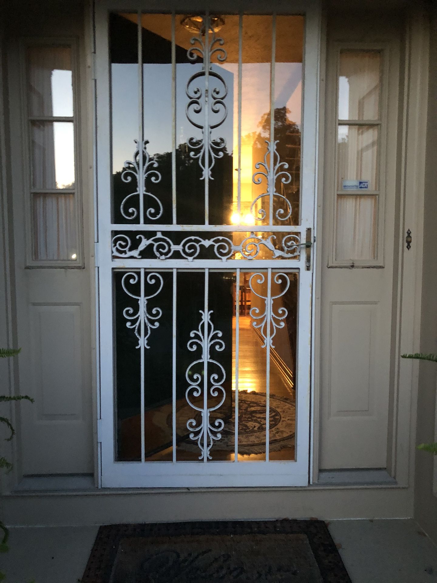 Steel Storm Door