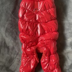 Dog outfit (for a Medium Sized Dog)