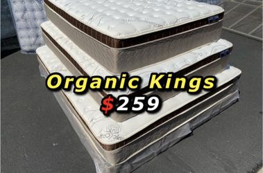 King Organic Cloud Edition Europillow Top 12inch Mattress!!