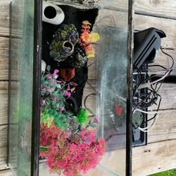Fish Tank Will All The Supply $50