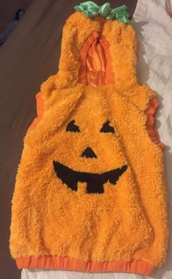Pumpkin costume