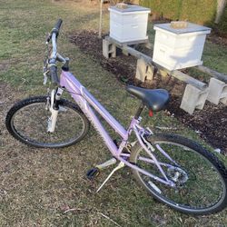 Schwinn Ranger Mountain Bike