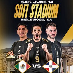 CONCACAF Gold Cup Game at Sofi Stadium 