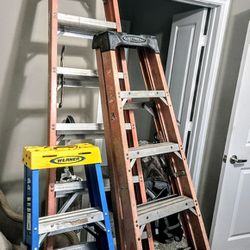 3 Werner Ladders One Price