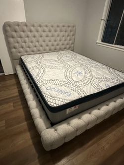 Queen Size Mattress Pillow Top New