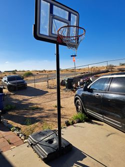 Basketball