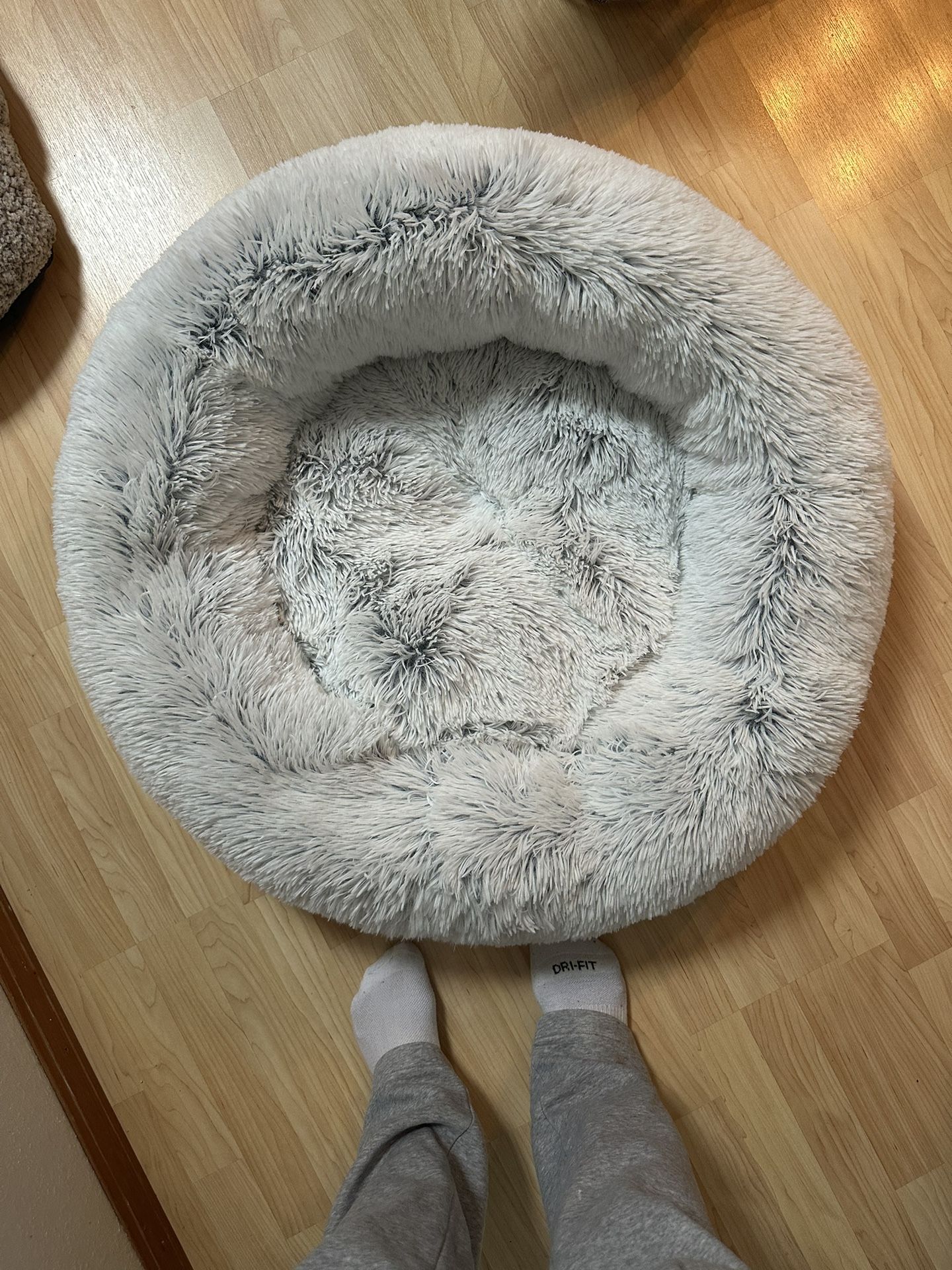 Home Goods Circle Bed