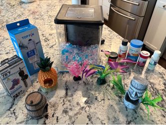 Betta Fish - Full Setup!