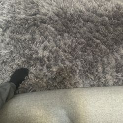 Dynamic Rugs