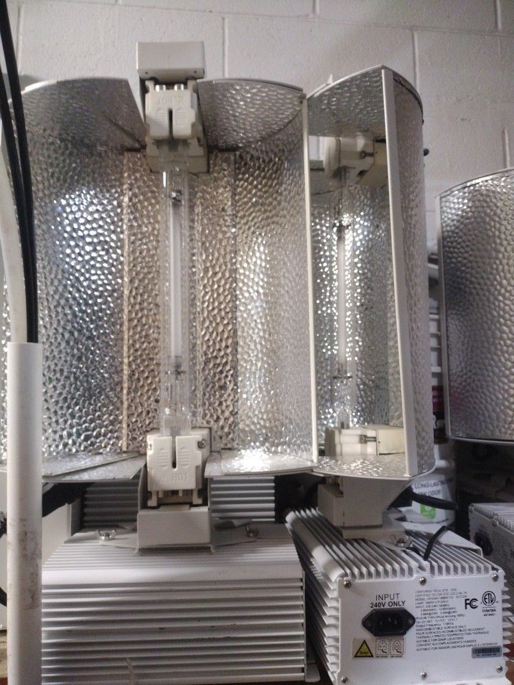 1000 Watt Grow Lights 240v