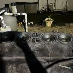 Car Audio 