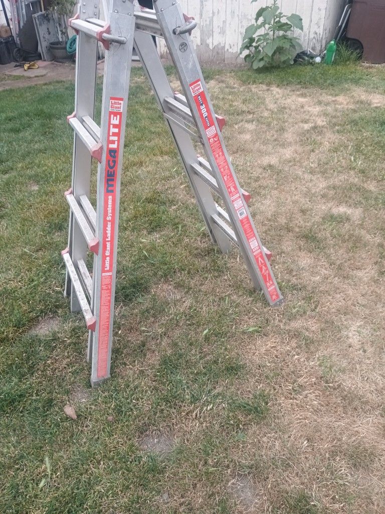 Little Giant Ladder