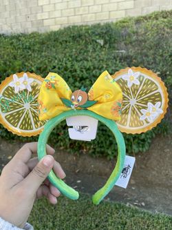 BRAND NEW DISNEY EARS