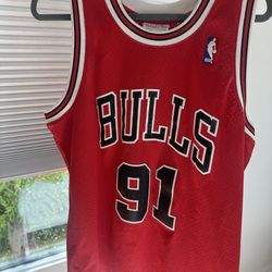 Bulls Deniss Rodman hardwood classic jersey