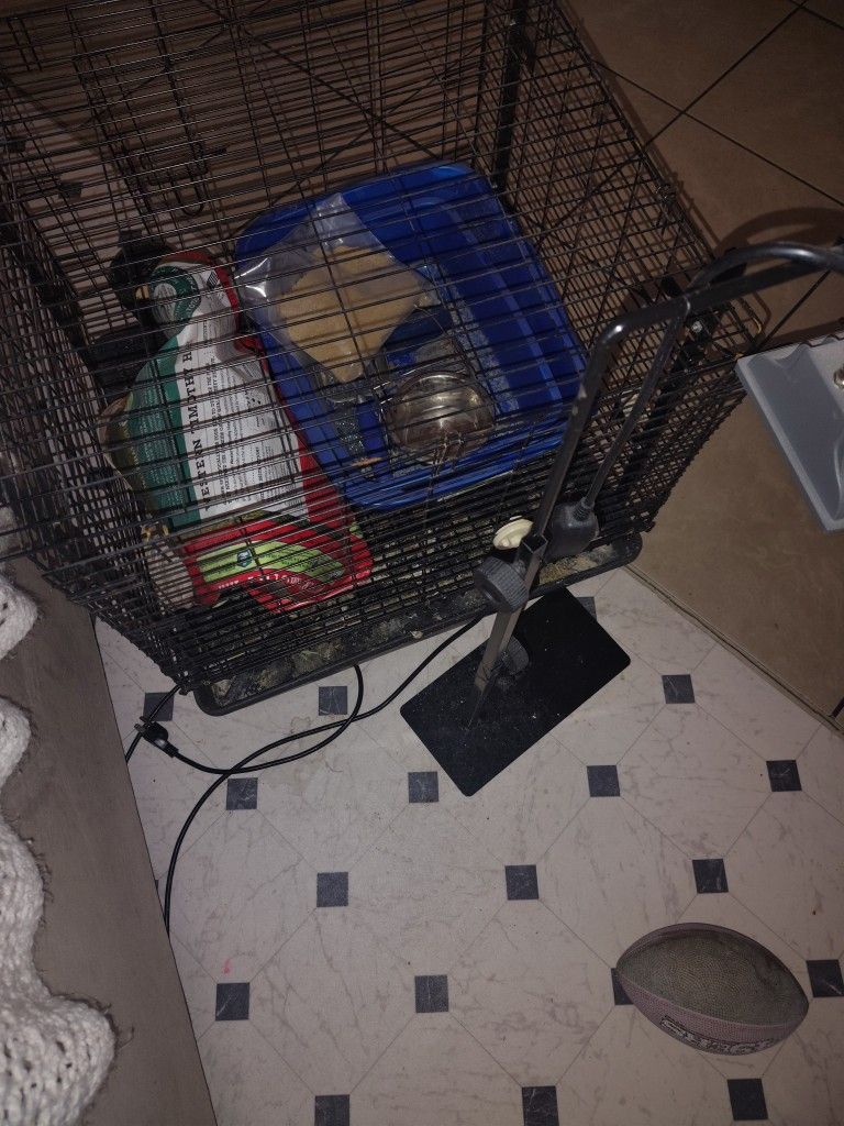Rabbit Cage And Some Accessories