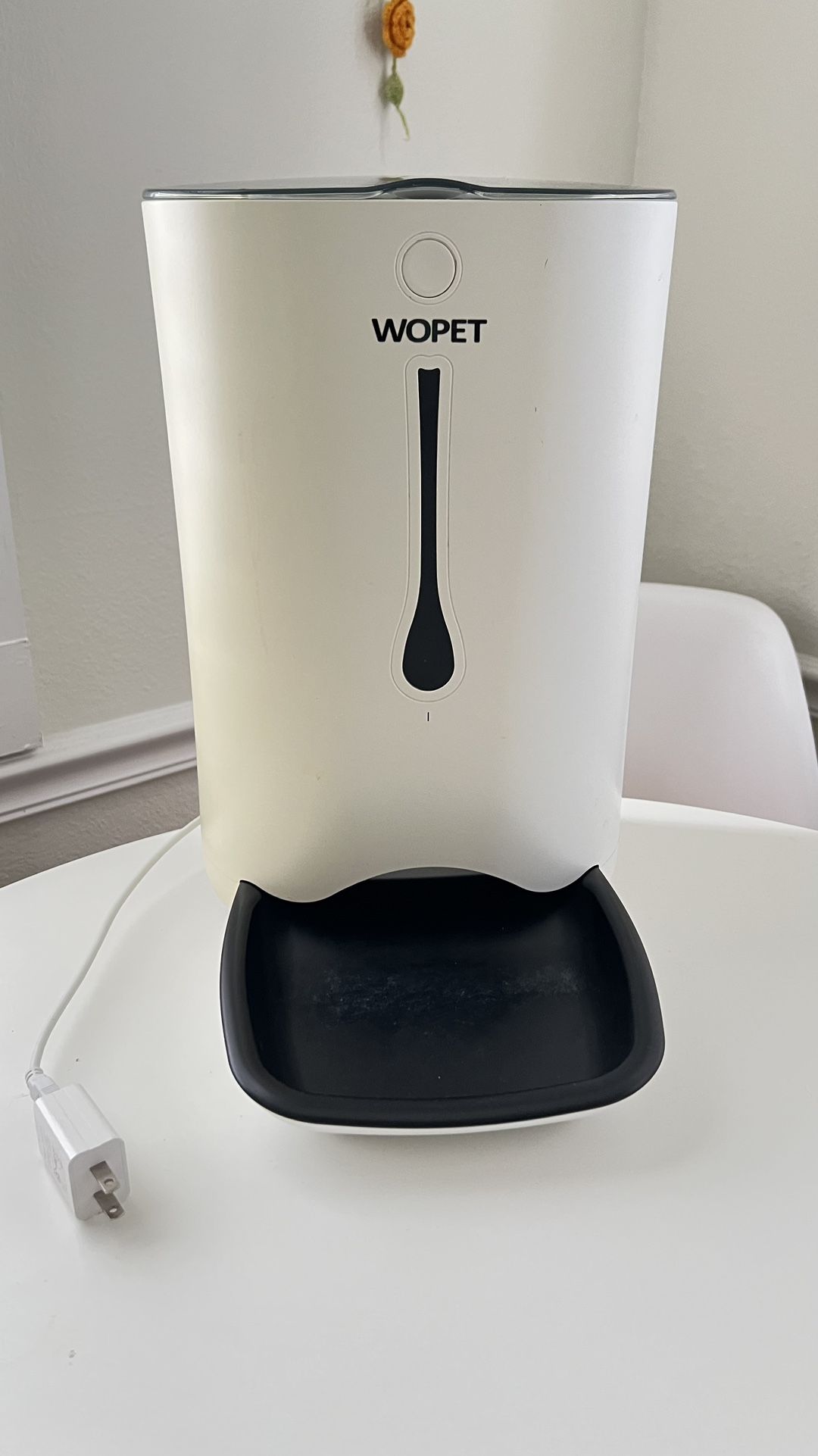Automatic Feeder (Dogs & Cats)