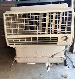 Swamp Champion Cooler
