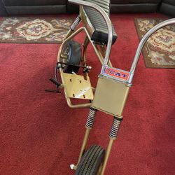 Cat Mini Bike