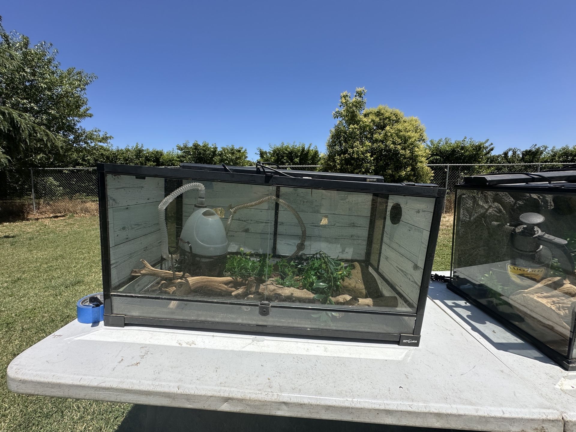 Snake/reptile Enclosure