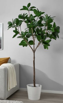 Artificial Plants from Ikea  (2) available