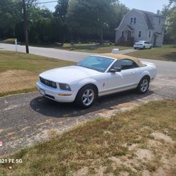 2007 Ford Mustang