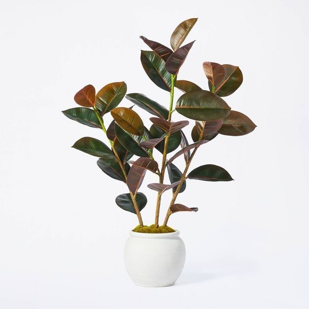Faux Plant Rubber Tree 35 Inches New Studio McGee Target