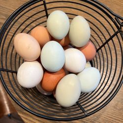 Farm Fresh Eggs 🥚Back In Stock 🥚