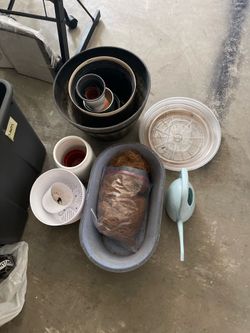 Plant pots and trays