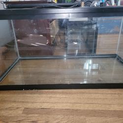 55 gallon aquarium / fish tank