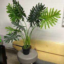Artificial Plant
