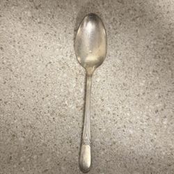 Silver Spoon