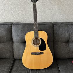 Guitar Rogue RD80