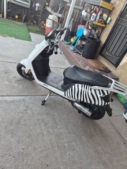 Zebra electric scooter