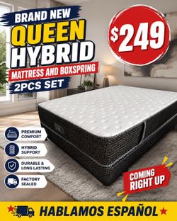 🟢NEW QUEEN HYBRID SET $249