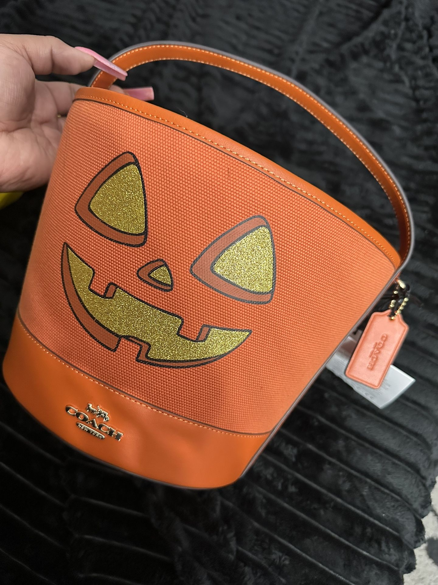 Coach Halloween Bag 