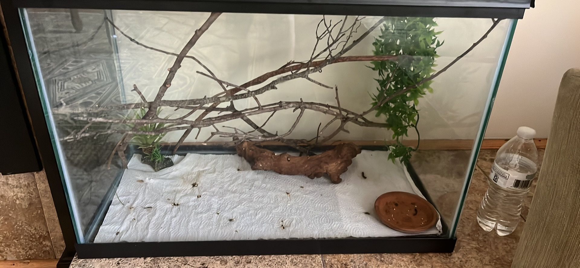29 Gallon Tank