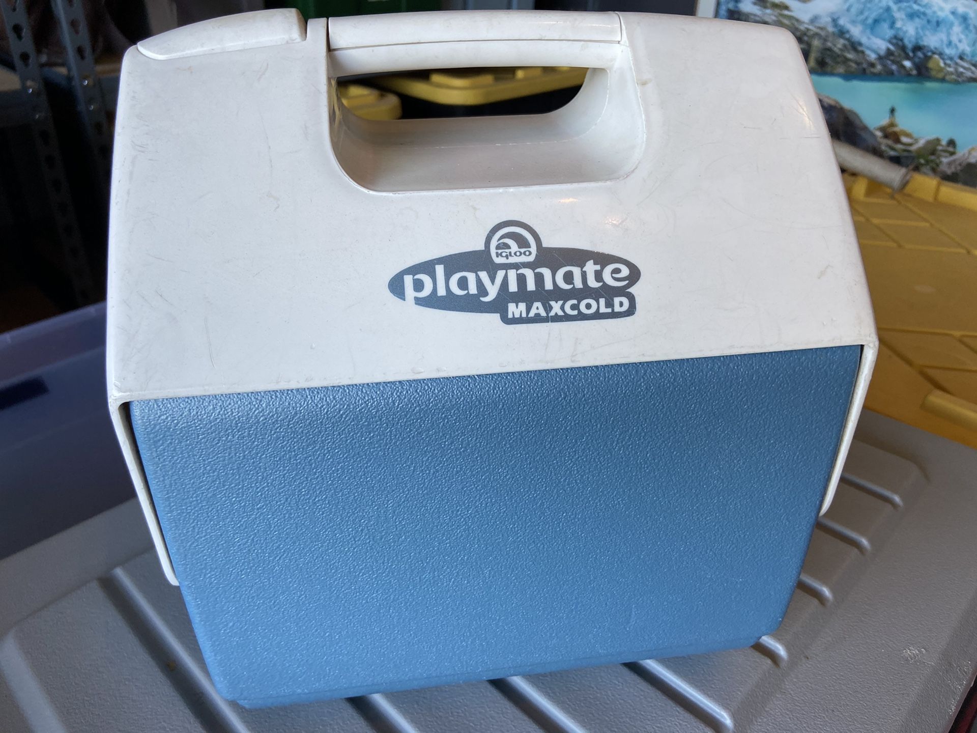 Lunch box cooler
