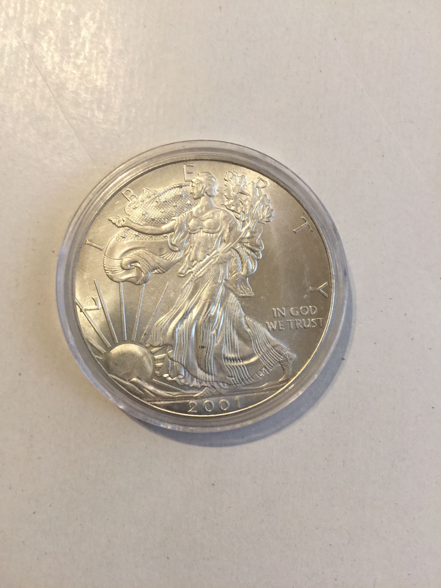 Random Date Walking Lady Liberty Silver dollar