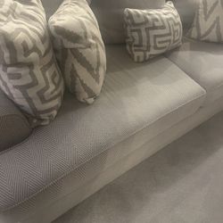 Couch And lounging Chair