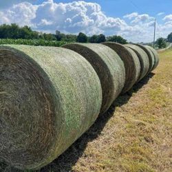 **2022-First Cut 4x5 Round Bales**