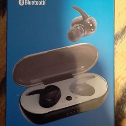 BILLBOARD True Wireless Earbuds 