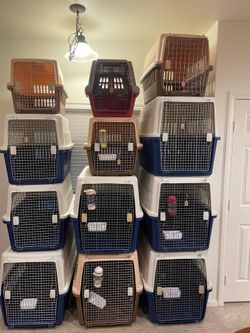 Large 36” Pet Traveling Carrie $65 Each Cada Uno