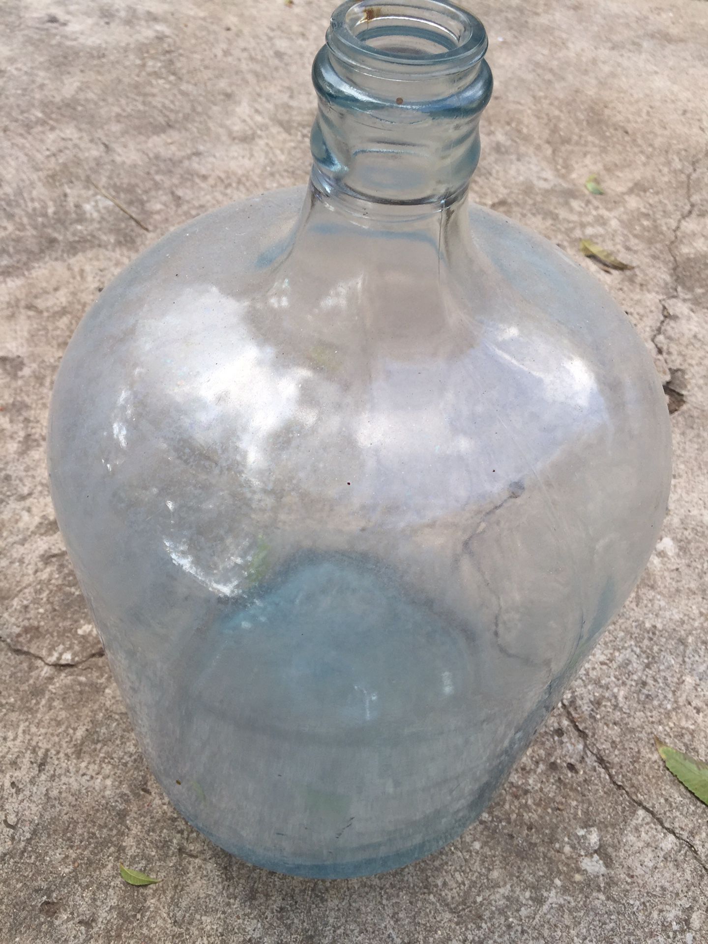 5 gallon glass jug / vase