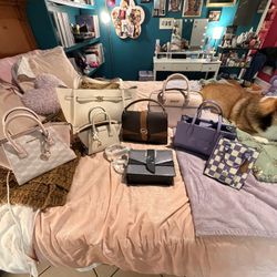 Michael Kors And Coach Bag Collection For Charity