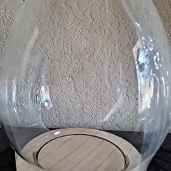 Glass Egg Cloche