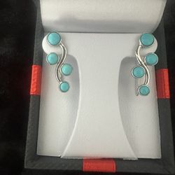 Sleeping Beauty Turquoise Earrings Sterling Silver 