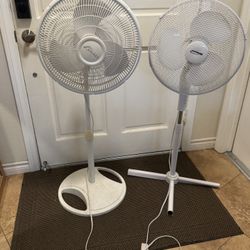 2 Fans 